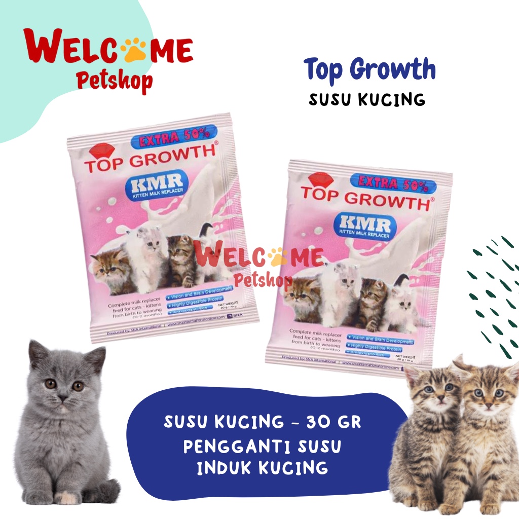 15 Rekomendasi Susu untuk Bayi Kucing yang Aman dan Bisa Memaksimalkan ...