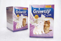 Jenis susu terbaik untuk anak kucing yang tanpa induk