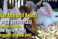 Jenis pakan untuk kelinci tanpa ngarit